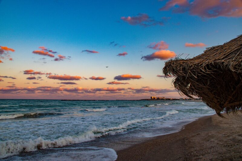 Forschungs- und Weiterbildungsmöglichkeiten