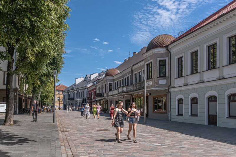 Dein Medizinstudium in Kaunas