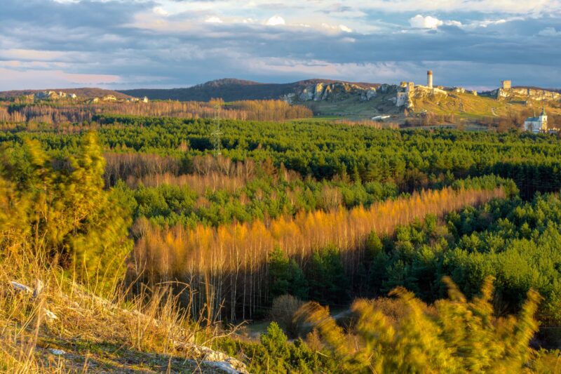 Reiche Natur in Olsztyn