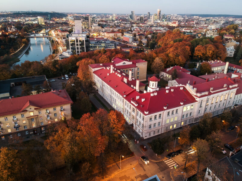 Vogelblick über die Stadt