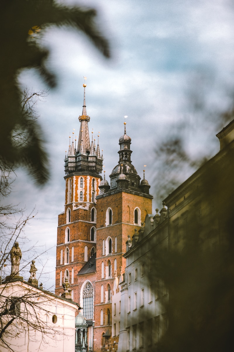 Facharztausbildung und Spezialisierung