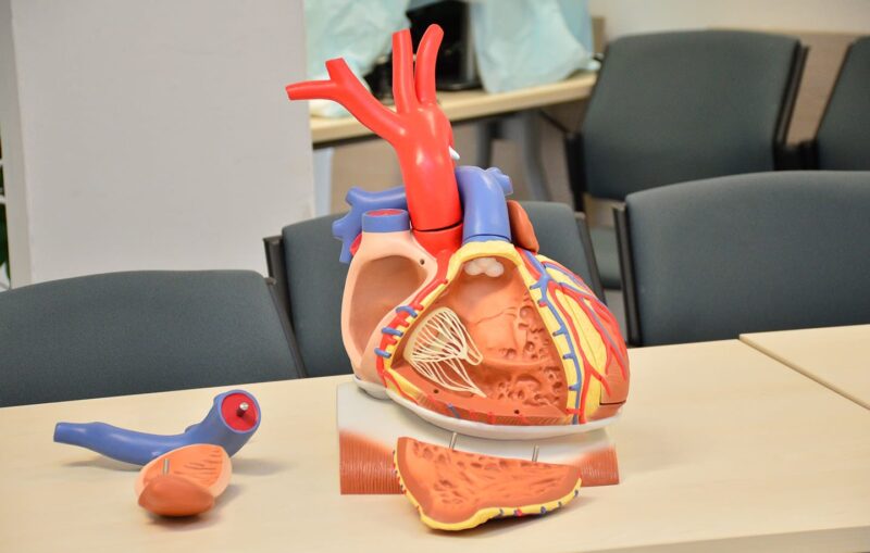 Jessenius Universität Martin