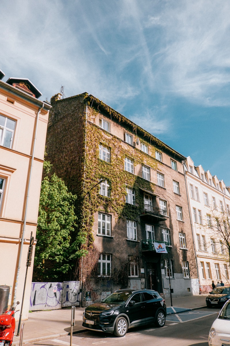 Studienstruktur und Curriculum der Medizin